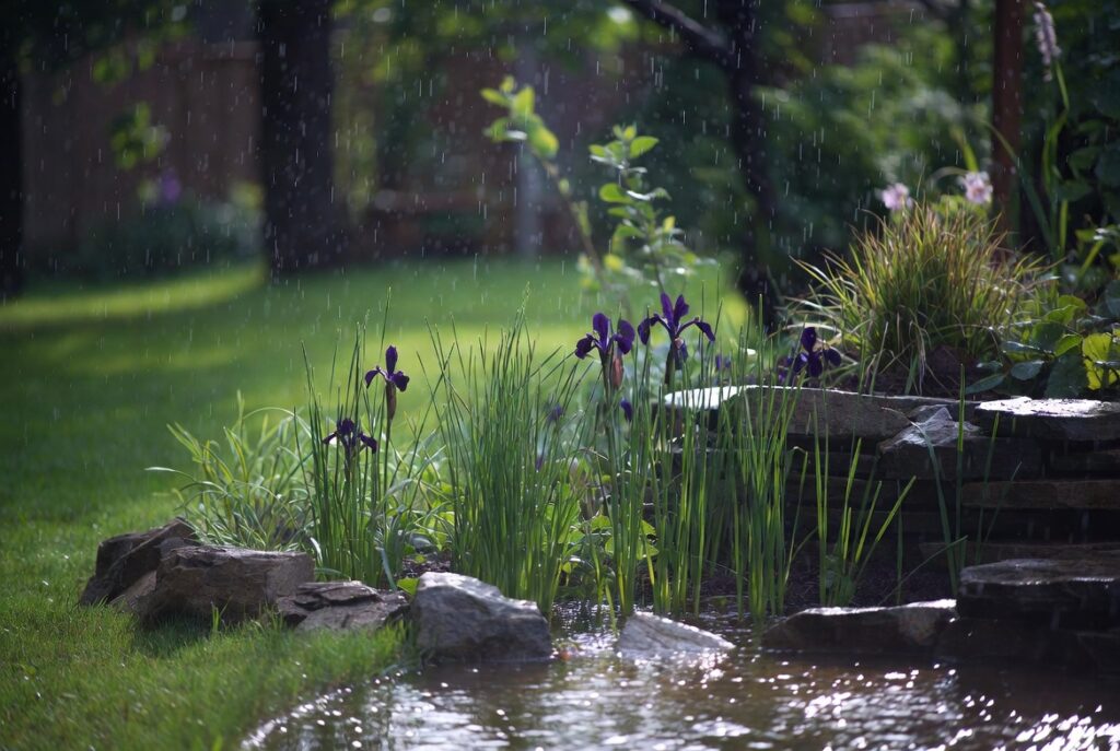 Create a "Rain Garden" to Solve Puddles