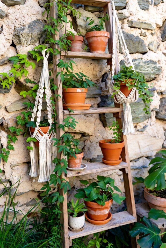 Use Ladder Shelves for Plants