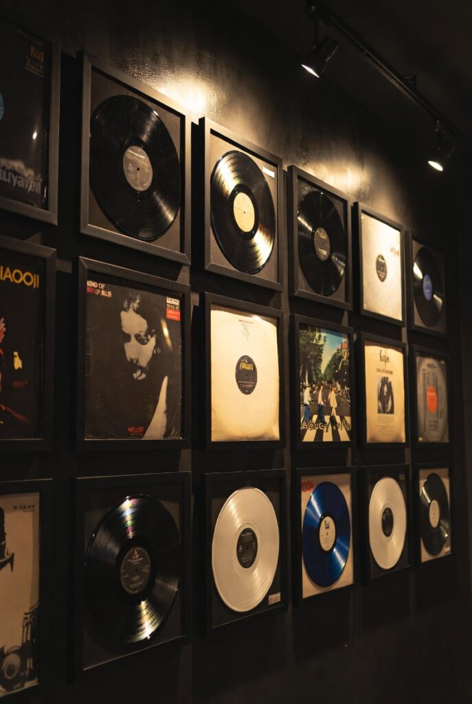 Vinyl Record Display (Music Lover’s Dream)