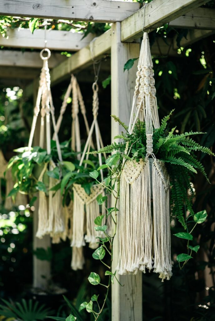 Hang Macrame Plant Hangers Everywhere