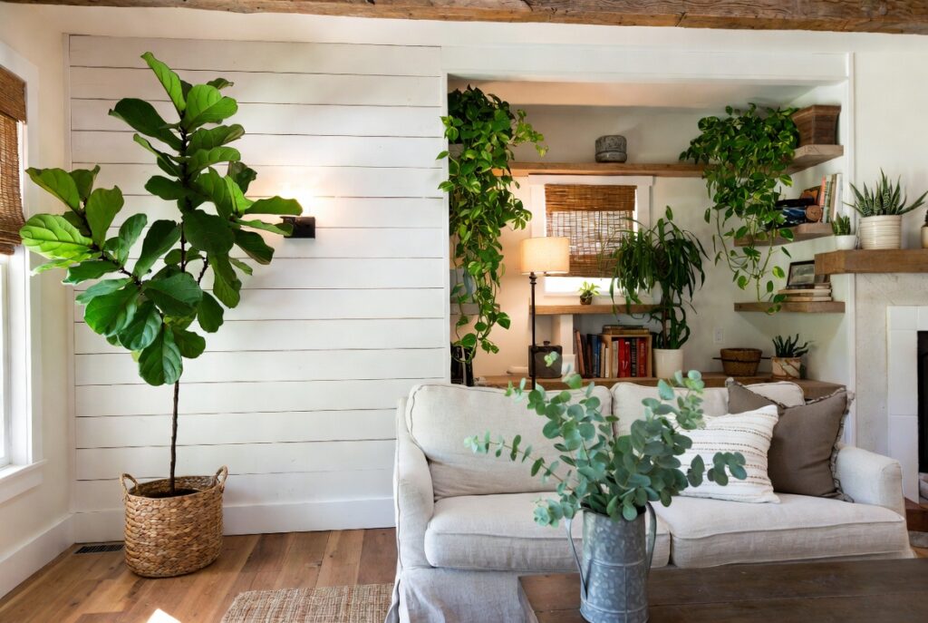 The Greenery Game Changer