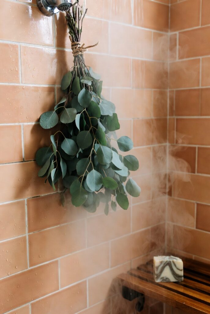 A Eucalyptus Shower Bundle