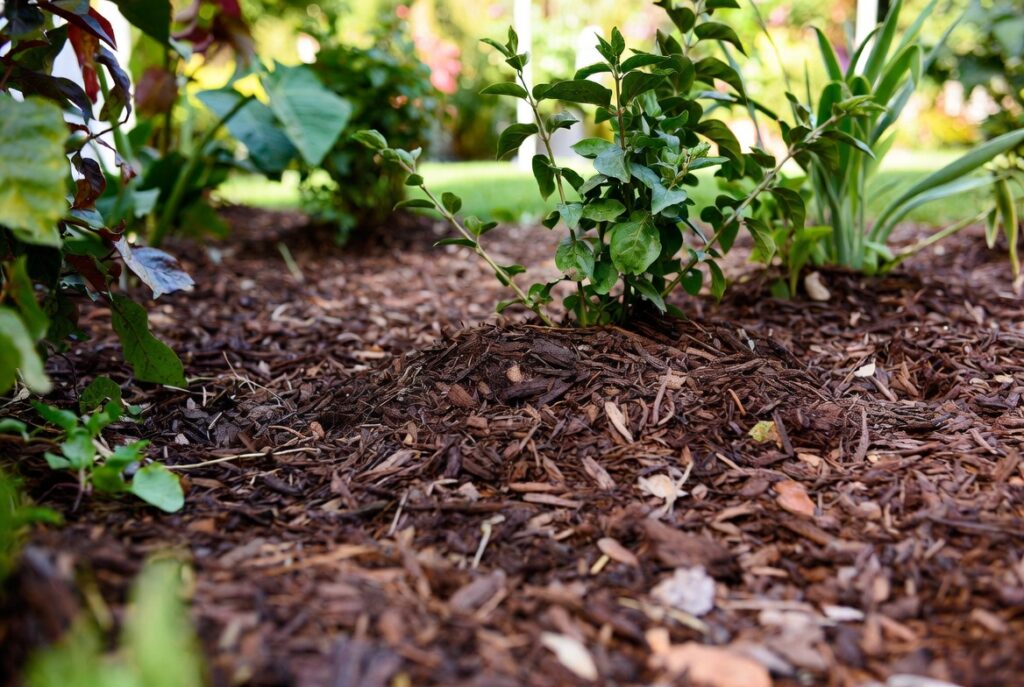 Mulch Like a Pro (Stop Weeds Instantly)