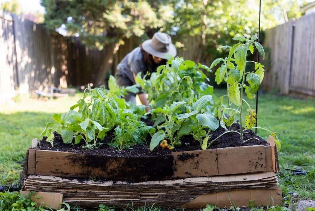  Build a No-Dig Garden Bed